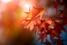 Ясная погода ожидается на большей части территории Казахстана