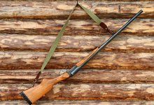 Пенсионер застрелил своего сына за безделье