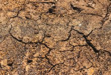 Еще одно землетрясение произошло в 300 км от Алматы