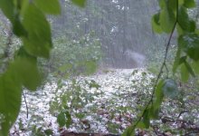 Дождь со снегом ожидаются на большей части Казахстана