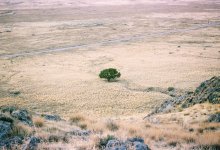 Как будут бороться с водным дефицитом в Казахстане