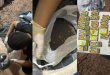 Крупную партию опия изъяли у 60-летнего жителя Атырау