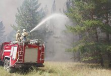 Гибель 14 человек в "Семей орманы": судят двух сотрудников резервата