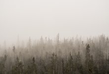 Туманы и усиление ветра ожидают казахстанцев 15 ноября