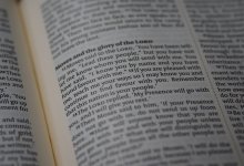 Какое слово стало главным по версии Кембриджского словаря в 2023 году