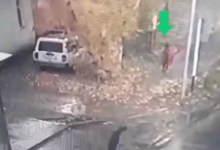 Испугалась собаки: пропавшую девочку нашли в Туркестане