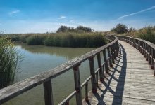 20 новых водохранилищ появятся в Казахстане