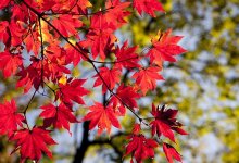 Ясная погода ожидается на большей части территории Казахстана