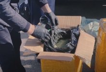 Более 200 кг наркотиков изъяли полицейские Казахстана в ноябре