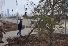 Режим ЧС объявят в Карагандинской области из-за ураганного ветра