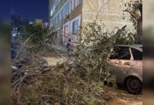 Дерево упало на припаркованный автомобиль в Актау