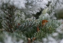 Сильный ветер с метелью и гололед ожидают казахстанцев