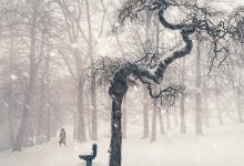 Ураганный ветер ожидается в 14 областях Казахстана