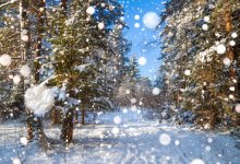 Дождь и снег ожидаются на большей части территории Казахстана