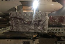 Партия из 500 тыс. доз вакцины против кори прибыла в Казахстан