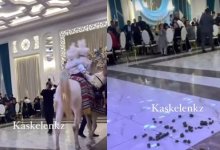 Лошадь оставила "шашу" на детском тое (ВИДЕО)