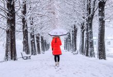 Метель и гололед прогнозируют по всему Казахстану