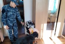 Рейды проводят полицейские в студенческих общежитиях Казахстана