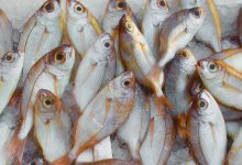 Почти на 15% подорожали рыба и морепродукты в Казахстане