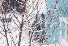 Гололед, сильный дождь и ветер ожидаются на большей части Казахстана