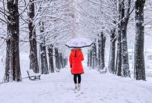 Дожди и снег ожидаются по Казахстану 3 декабря