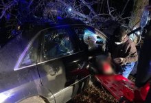 Мужчина погиб в ДТП с выбежавшей на трассу лошадью в Жетысу