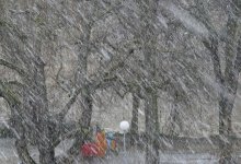 Необычное явление сняли на видео павлодарцы