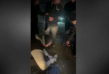 Наркозакладчика с 17 свертками "синтетики" задержали в Талдыкоргане