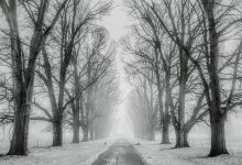 Осадки ожидаются на большей части Казахстана