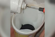 Остались без отопления: мазут течет из батарей жителей Щучинска ( ВИДЕО)