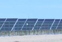 253 млн тенге субсидий для фермеров присвоил мужчина в Карагандинской области