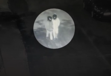 Угонщики скутеров в шлемах попали на камеры в Шымкенте (ВИДЕО)