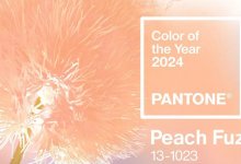 Определен главный цвет 2024 года