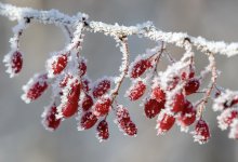 Морозную погоду без осадков обещают в Казахстане