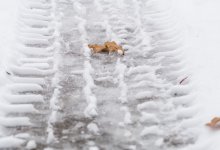 Туман, гололед и метель: синоптики объявили штормовое предупреждение по Казахстану