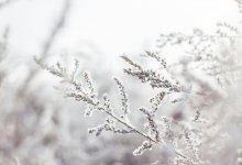 Сильные морозы сохранятся в Казахстане