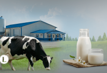 115 молочных ферм и 15 птицефабрик построят в Казахстане
