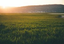 Земли на миллиард тенге вернули государству в Караганде