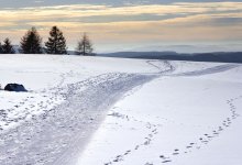 Два пастуха и стадо баранов потерялись в Алматинской области