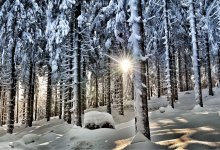 Сильный снег, гололед и туман ожидаются в Казахстане