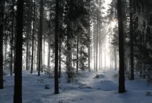 Ясная погода установится в Казахстане