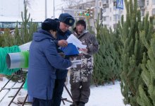 53 тысячи тенге придется заплатить за вырубку одного дерева в СКО