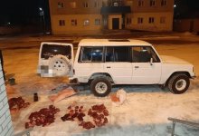 Полицейские остановили джип с тушами косуль в Павлодарской области