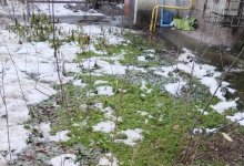 Весна посреди зимы: дожди обещают в некоторых регионах Казахстана