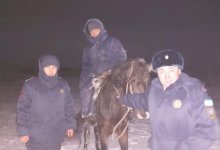 Пастух заблудился в степи в Актюбинской области