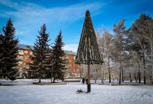 Насадили на кол: несуразная елка разозлила жителей села в ВКО