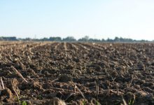 Земельные участки по заниженной цене продавали в Актюбинской области