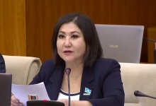 Как в Африке: депутат возмутилась финансированием ПМСП в Казахстане