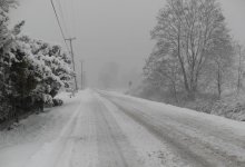 Часть трассы между Алматы и Ташкентом снова закрыли из-за плохой погоды