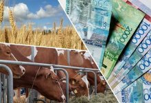 Повысить доходы сельчан